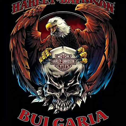 Harley тениска, блуза суичър