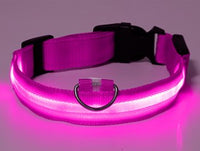 Led collar pink for pets liratech.bg