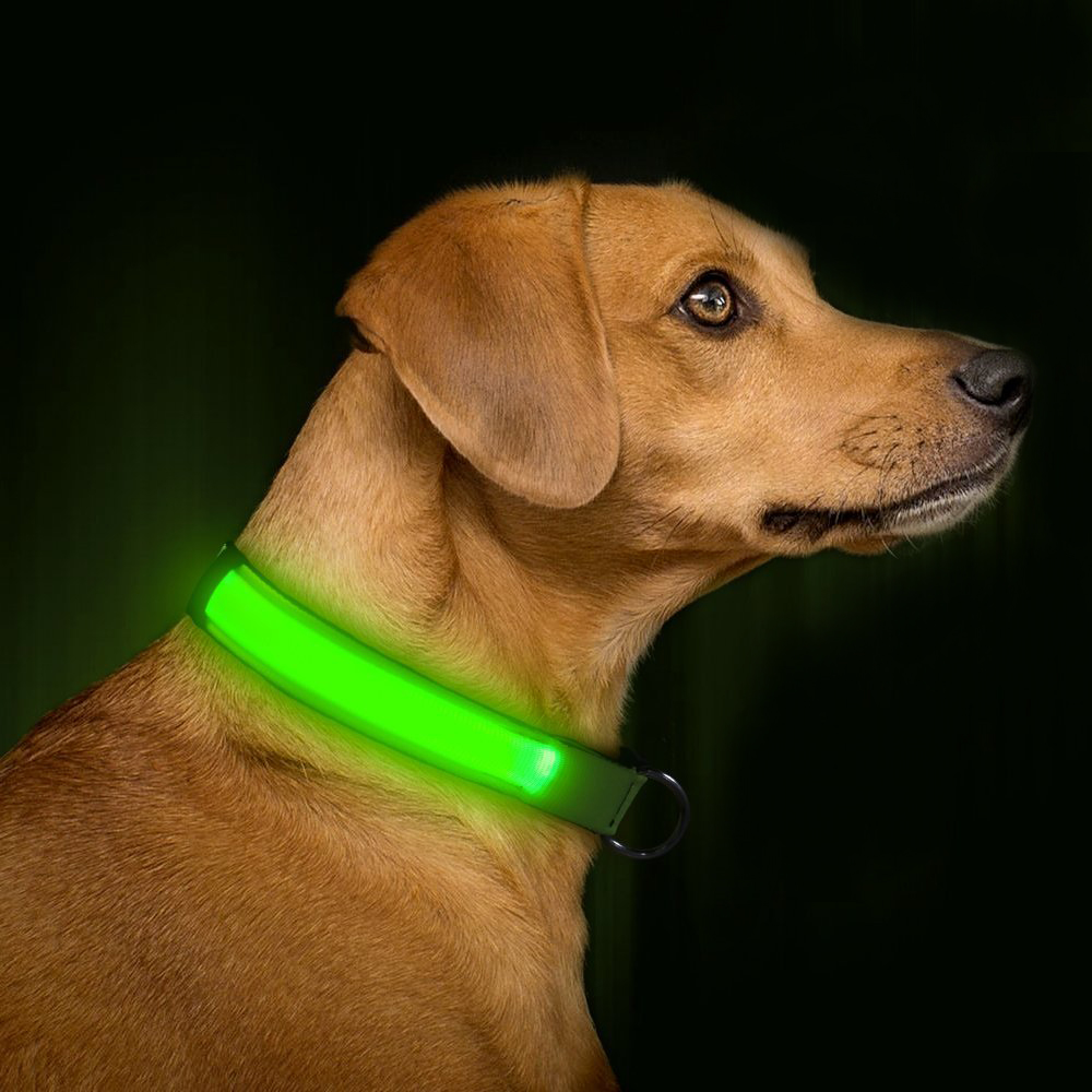 Светещ нашийник за куче, LED XS до XL Зареждащ се акумулаторен Лиратек зелен